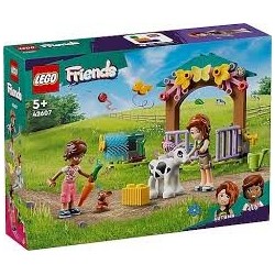 LEGO AUTUMN'UN DANA AHIRI