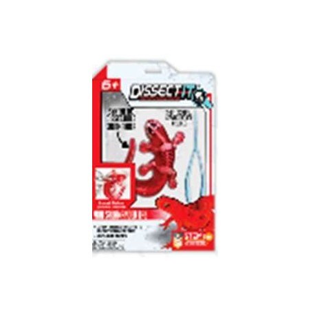 SLIMY KT.DENEY SETİ